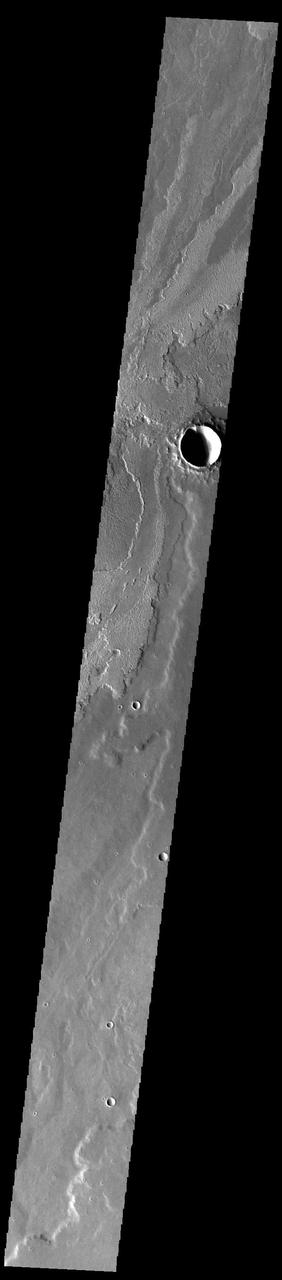 Today's VIS image shows a small portion of the immense lava flows that originated from Arsia Mons. Arsia Mons is the southernmost of the three large aligned volcanoes in the Tharsis region. Arsia Mons' last eruption was 10s of million years ago. The different surface textures are created by differences in the lava viscosity and cooling rates. The lobate margins of each flow can be traced back to the start of each flow — or to the point where they are covered by younger flows. Flows in Daedalia Planum can be as long as 180 km (111 miles). For comparison the longest Hawaiian lava flow is only 51 km (˜31 miles) long. The total area of Daedalia Planum is 2.9 million square km – more than four times the size of Texas. Orbit Number: 92102 Latitude: -21.4397 Longitude: 243.244 Instrument: VIS Captured: 2022-09-18 22:46 https://photojournal.jpl.nasa.gov/catalog/PIA25745