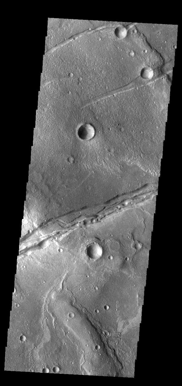 Today's VIS image shows a portion of Sirenum Fossae. The linear features are tectonic graben. Graben are formed by extension of the crust and faulting. When large amounts of pressure or tension are applied to rocks on timescales that are fast enough that the rock cannot respond by deforming, the rock breaks along faults. In the case of a graben, two parallel faults are formed by extension of the crust and the rock in between the faults drops downward into the space created by the extension. Numerous sets of graben are visible in this THEMIS image, trending from north-northeast to south-southwest. Because the faults defining the graben are formed perpendicular to the direction of the applied stress, we know that extensional forces were pulling the crust apart in the west-northwest/east-southeast direction. The Sirenum Fossae graben are 2735km (1700 miles) long and stretch from eastern Terra Sirenum into western Daedalia Planum. Orbit Number: 92253 Latitude: -32.4503 Longitude: 205.396 Instrument: VIS Captured: 2022-10-01 09:14 https://photojournal.jpl.nasa.gov/catalog/PIA25753