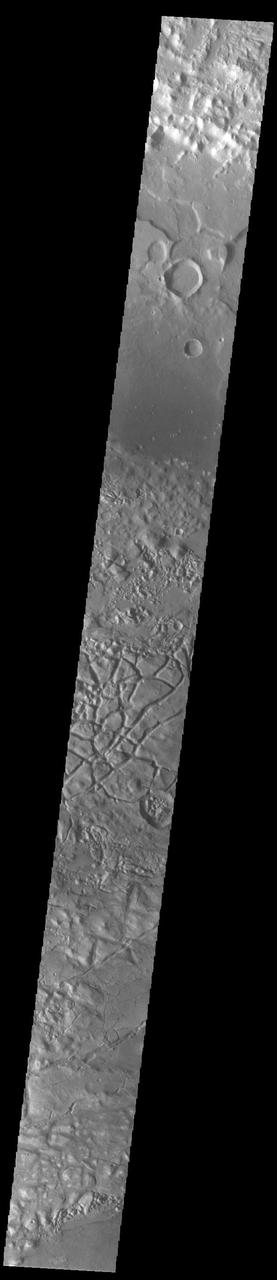This VIS image shows part of Gorgonum Chaos. Chaos terrain is typified by regions of blocky, often steep sided, mesas interspersed with deep valleys. With time and erosion the valleys widen and the mesas become smaller. Chaotic regions form when groundwater escapes to the surface, undermining it and causing the ground to collapse. The linear depressions at the bottom of the image are part of Sirenum Fossae. Gorgonum Chaos is located in Terra Sirenum. Orbit Number: 92266 Latitude: -36.8519 Longitude: 189.676 Instrument: VIS Captured: 2022-10-02 10:57 https://photojournal.jpl.nasa.gov/catalog/PIA25754