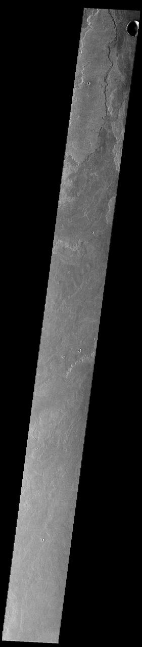 Today's VIS image shows a small portion of the immense lava flows that originated from Arsia Mons. Arsia Mons is the southernmost of the three large aligned volcanoes in the Tharsis region. Arsia Mons' last eruption was 10s of million years ago. The different surface textures are created by differences in the lava viscosity and cooling rates. The lobate margins of each flow can be traced back to the start of each flow — or to the point where they are covered by younger flows. Flows in Daedalia Planum can be as long as 180 km (111 miles). For comparison the longest Hawaiian lava flow is only 51 km (˜31 miles) long. The total area of Daedalia Planum is 2.9 million square km – more than four times the size of Texas. Orbit Number: 92439 Latitude: -22.8332 Longitude: 240.737 Instrument: VIS Captured: 2022-10-16 16:45 https://photojournal.jpl.nasa.gov/catalog/PIA25762