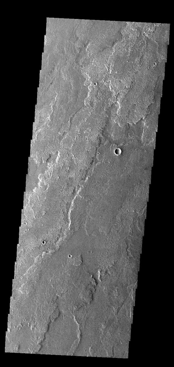 Today's VIS image shows a small portion of the immense lava flows that originated from Arsia Mons. Arsia Mons is the southernmost of the three large aligned volcanoes in the Tharsis region. Arsia Mons' last eruption was 10s of million years ago. The different surface textures are created by differences in the lava viscosity and cooling rates. The lobate margins of each flow can be traced back to the start of each flow — or to the point where they are covered by younger flows. Flows in Daedalia Planum can be as long as 180 km (111 miles). For comparison the longest Hawaiian lava flow is only 51 km (˜31 miles) long. The total area of Daedalia Planum is 2.9 million square km – more than four times the size of Texas. Orbit Number: 92489 Latitude: -22.5933 Longitude: 238.293 Instrument: VIS Captured: 2022-10-20 19:34 https://photojournal.jpl.nasa.gov/catalog/PIA25763