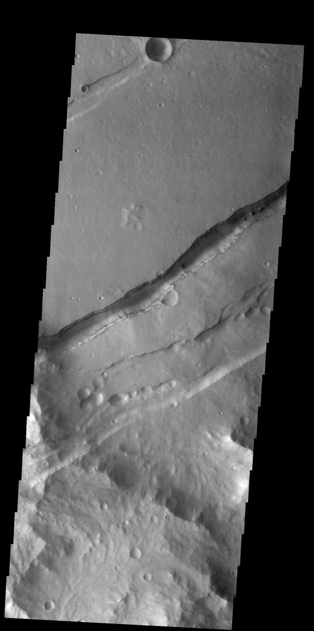 Today's VIS image shows a portion of Sirenum Fossae. The linear features are tectonic graben. Graben are formed by extension of the crust and faulting. When large amounts of pressure or tension are applied to rocks on timescales that are fast enough that the rock cannot respond by deforming, the rock breaks along faults. In the case of a graben, two parallel faults are formed by extension of the crust and the rock in between the faults drops downward into the space created by the extension. Numerous sets of graben are visible in this THEMIS image, trending from north-northeast to south-southwest. Because the faults defining the graben are formed perpendicular to the direction of the applied stress, we know that extensional forces were pulling the crust apart in the west-northwest/east-southeast direction. The Sirenum Fossae graben are 2735km (1700 miles) long and stretch from eastern Terra Sirenum into western Daedalia Planum. Orbit Number: 92627 Latitude: -27.7786 Longitude: 216.392 Instrument: VIS Captured: 2022-11-01 04:18 https://photojournal.jpl.nasa.gov/catalog/PIA25766