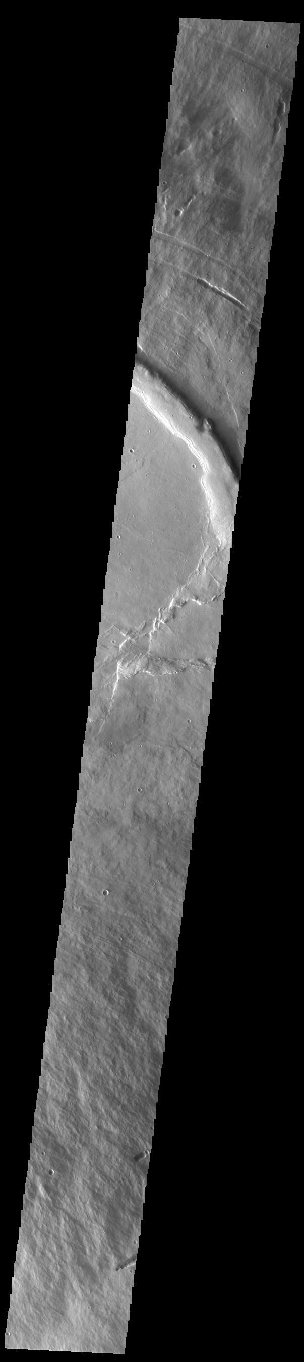 NASA image: Pavonis Mons