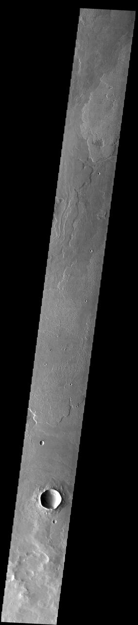 Today's VIS image shows a small portion of the immense lava flows that originated from Arsia Mons. Arsia Mons is the southernmost of the three large aligned volcanoes in the Tharsis region. Arsia Mons' last eruption was 10s of million years ago. The different surface textures are created by differences in the lava viscosity and cooling rates. The lobate margins of each flow can be traced back to the start of each flow — or to the point where they are covered by younger flows. Flows in Daedalia Planum can be as long as 180 km (111 miles). For comparison the longest Hawaiian lava flow is only 51 km (˜31 miles) long. The total area of Daedalia Planum is 2.9 million square km – more than four times the size of Texas. Orbit Number: 92751 Latitude: -23.4788 Longitude: 239.589 Instrument: VIS Captured: 2022-11-11 09:19 https://photojournal.jpl.nasa.gov/catalog/PIA25770