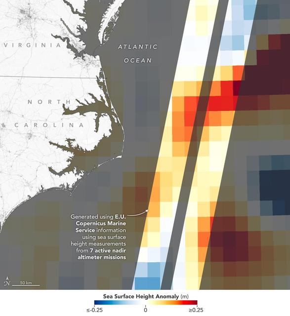 NASA image: Sea Level Visualization of Gulf Stream