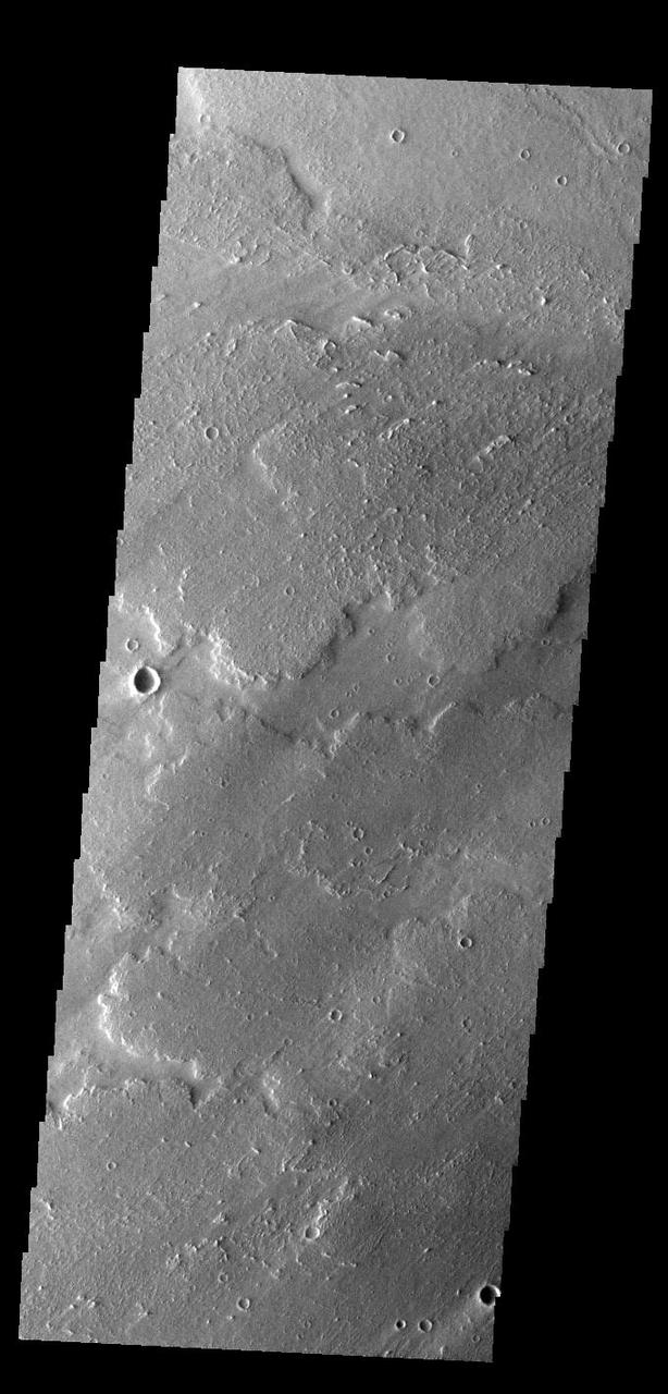 Today's VIS image shows a small portion of the immense lava flows that originated from Arsia Mons. Arsia Mons is the southernmost of the three large aligned volcanoes in the Tharsis region. Arsia Mons' last eruption was 10s of million years ago. The different surface textures are created by differences in the lava viscosity and cooling rates. The lobate margins of each flow can be traced back to the start of each flow — or to the point where they are covered by younger flows. Flows in Daedalia Planum can be as long as 180 km (111 miles). For comparison the longest Hawaiian lava flow is only 51 km (˜31 miles) long. The total area of Daedalia Planum is 2.9 million square km – more than four times the size of Texas. Windstreaks in this image show unidirectional winds from the upper right corner towards the lower left corner. Orbit Number: 93001 Latitude: -12.3262 Longitude: 228.783 Instrument: VIS Captured: 2022-12-01 23:18 https://photojournal.jpl.nasa.gov/catalog/PIA25810