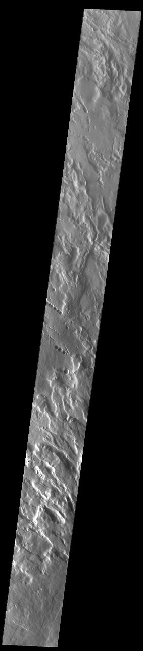 The three large aligned Tharsis volcanoes are Arsia Mons, Pavonis Mons and Ascreaus Mons (from south to north). There are collapse features on all three volcanoes, on the southwestern and northeastern flanks. This alignment may indicate a large fracture/vent system was responsible for the eruptions that formed all three volcanoes. This VIS image shows part of the northwestern flank of Arsia Mons, west of the aligned fracture system. The scalloped depressions and lines of craters are most likely created by collapse of the roof of lava tubes. Lava tubes originate during eruption event, when the margins of a flow harden around a still flowing lava stream. When an eruption ends these can become hollow tubes within the flow. With time, the roof of the tube may collapse into the empty space below. The tubes are linear, so the collapse of the roof creates a linear depression. In this region, the complexity of the collapse and faulting has created a unique surface. This region has collapse depressions with floors at a variety of elevations and depression sizes from small to large.  Arsia Mons is the southernmost of the Tharsis volcanoes. It is 270 miles (450km) in diameter, almost 12 miles (20km) high, and the summit caldera is 72 miles (120km) wide. For comparison, the largest volcano on Earth is Mauna Loa. From its base on the sea floor, Mauna Loa measures only 6.3 miles high and 75 miles in diameter. A large volcanic crater known as a caldera is located at the summit of all of the Tharsis volcanoes. These calderas are produced by massive volcanic explosions and collapse. The Arsia Mons summit caldera is larger than many volcanoes on Earth.  Orbit Number: 93113 Latitude: -6.63675 Longitude: 238.403 Instrument: VIS Captured: 2022-12-11 04:35  https://photojournal.jpl.nasa.gov/catalog/PIA25817