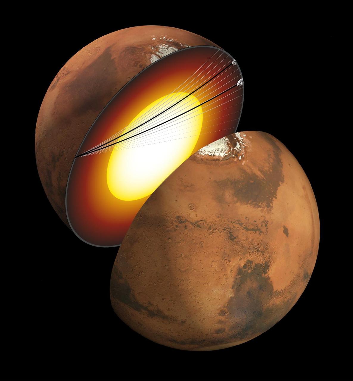 This artist's concept shows a cutaway of Mars along with the paths of seismic waves from two separate quakes in 2021. These seismic waves, detected by NASA's InSight mission, were the first ever identified to enter another planet's core. InSight's seismometer allowed scientists to study these waves and gain an unprecedented look at the Martian core. The quakes were detailed in a paper published April 24, 2023, in the Proceedings of the National Academies of Sciences. Occurring on Aug. 25 and Sept. 18, 2021, the two temblors were the first identified by the InSight team to have originated on the opposite side of the planet from the lander – so-called farside quakes. The distance proved crucial: The farther a quake happens from InSight, the deeper into the planet its seismic waves can travel before being detected. https://photojournal.jpl.nasa.gov/catalog/PIA25827