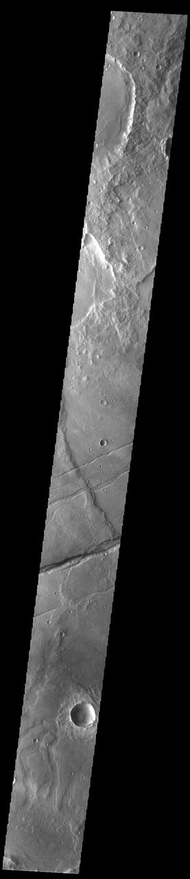 Today's VIS image shows a portion of Sirenum Fossae. The linear features are tectonic graben. Graben are formed by extension of the crust and faulting. When large amounts of pressure or tension are applied to rocks on timescales that are fast enough that the rock cannot respond by deforming, the rock breaks along faults. In the case of a graben, two parallel faults are formed by extension of the crust and the rock in between the faults drops downward into the space created by the extension. Numerous sets of graben are visible in this THEMIS image, trending from north-northeast to south-southwest. Because the faults defining the graben are formed perpendicular to the direction of the applied stress, we know that extensional forces were pulling the crust apart in the west-northwest/east-southeast direction. The Sirenum Fossae graben are 2735km (1700 miles) long and stretch from eastern Terra Sirenum into western Daedalia Planum. Orbit Number: 93139 Latitude: -32.2816 Longitude: 204.773 Instrument: VIS Captured: 2022-12-13 08:06 https://photojournal.jpl.nasa.gov/catalog/PIA25842