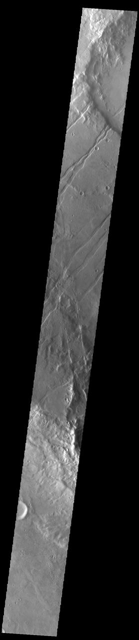 The linear features in this VIS image are tectonic graben called Icaria Fossae and are located in Terra Sirenum. Graben are formed by extension of the crust and faulting. When large amounts of pressure or tension are applied to rocks on timescales that are fast enough that the rock cannot respond by deforming, the rock breaks along faults. In the case of a graben, two parallel faults are formed by extension of the crust and the rock in between the faults drops downward into the space created by the extension. The Icaria Fossae graben are 2115km (1314 miles) long. Orbit Number: 93200 Latitude: -41.7764 Longitude: 243.379 Instrument: VIS Captured: 2022-12-18 08:42 https://photojournal.jpl.nasa.gov/catalog/PIA25847