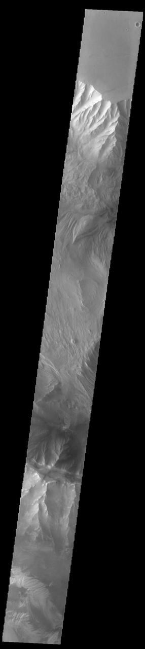 Today's VIS image shows western parts of Ophir Chasma (top of image) and Candor Chasma (bottom of image). Both are part of Valles Marineris. Candor Chasma is approximately 810 km long (503 miles) and is divided into two regions – eastern and western Candor. Ophir Chasma is approximately 317km long (197 miles). The floors of both chasmata include a variety of landforms, including layered deposits, dunes, landslide deposits and steep sided cliffs and mesas. Many forms of erosion have shaped both chasmata. There is evidence of wind and water erosion, as well as significant gravity driven mass wasting (landslides). Orbit Number: 93311 Latitude: -4.15087 Longitude: 286.533 Instrument: VIS Captured: 2022-12-27 11:51 https://photojournal.jpl.nasa.gov/catalog/PIA25850