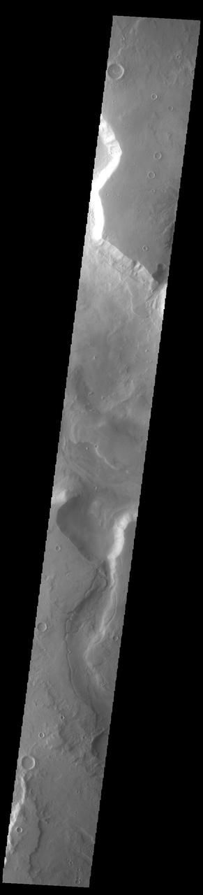 Today's VIS image shows a section of Mamers Valles where it enters into Ismenius Cavus. The channel is nearly 1000 km long (600 miles). Mamers Valles originates near Cerulli Crater in northern Arabia Terra, and after a short section near the crater where flow is to the south, flows northward to empty in Deuteronilus Mensae. The steep walls of Mamers Valles can reach heights of 1200 m (4000 feet). Orbit Number: 93619 Latitude: 33.35 Longitude: 17.3572 Instrument: VIS Captured: 2023-01-21 22:16 https://photojournal.jpl.nasa.gov/catalog/PIA25872