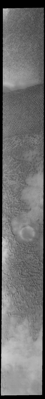This VIS image of Olympia Undae was collected early in north polar spring. The dunes are still covered by the winter frosts; as the region heats up the frost will dissipate to reveal the dark sand beneath. The density of dunes and the alignments of the dune crests varies with location, controlled by the amount of available sand and the predominant winds over time.  Olympia Undae is a vast dune field in the north polar region of Mars. It consists of a broad sand sea or erg that partly rings the north polar cap from about 120° to 240°E longitude and 78° to 83°N latitude. The dune field covers an area of approximately 470,000 km2 (bigger than California, smaller than Texas). Olympia Undae is the largest continuous dune field on Mars. Olympia Undae is not the only dune field near the north polar cap, several other smaller fields exist in the same latitude, but in other ranges of longitude, e.g. Abolos and Siton Undae. Barchan and transverse dune forms are the most common. In regions with limited available sand individual barchan dunes will form, the surface beneath and between the dunes is visible. In regions with large sand supplies, the sand sheet covers the underlying surface, and dune forms are found modifying the surface of the sand sheet. In this case transverse dunes are more common. Barchan dunes "point" down wind, transverse dunes are more linear and form parallel to the wind direction. The "square" shaped transverse dunes in Olympia Undae are due to two prevailing wind directions.  Orbit Number: 93727 Latitude: 79.5915 Longitude: 159.786 Instrument: VIS Captured: 2023-01-30 19:25  https://photojournal.jpl.nasa.gov/catalog/PIA25874
