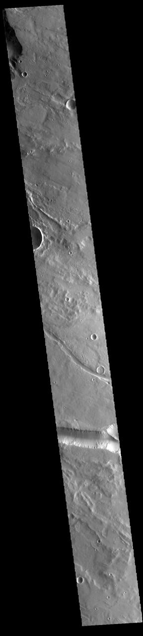 Today's VIS image contains a section of one of the many channel forms found radial to the Elysium Mons volcanic complex. In this case the fossae are located to the west of Elysium Mons. Elysium Fossae are comprised of both linear and sinuous channels, usually interpreted to have both fluid and tectonic forces playing a part in the formation. The linear depression resembles a graben (formed by tectonic forces) and sinuous channels more closely resembles features caused by fluid flow – either lava or water created by melting subsurface ice due to volcanic heating. Orbit Number: 93771 Latitude: 25.4228 Longitude: 138.846 Instrument: VIS Captured: 2023-02-03 09:57 https://photojournal.jpl.nasa.gov/catalog/PIA25876