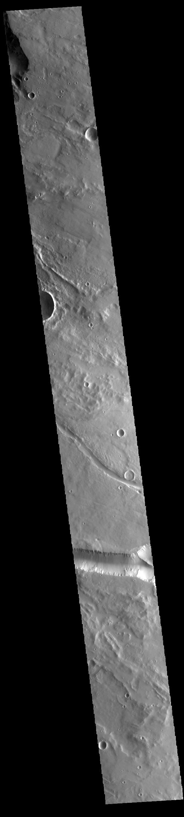 NASA image: Elysium Fossae