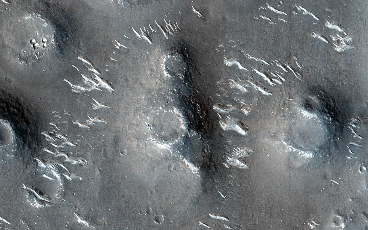 Utopia Planitia, a vast plain in the Northern Hemisphere of Mars, has an interesting and complex history. One of the intriguing features is a field of mounds showing circular depressions at their summits. The fact that many of these "craters" are on top of mounds argues against them being craters created by impacts, as is common on Mars and other planetary bodies across the solar system. There are many processes that can form such landforms, most notably hot lava. However, mud ejected from beneath the surface (through different geologic mechanisms) could also be a possibility. Being able to better understand how these features formed (aided by HiRISE stereo images) is crucial to our understanding of the geologic history of the region. https://photojournal.jpl.nasa.gov/catalog/PIA25898