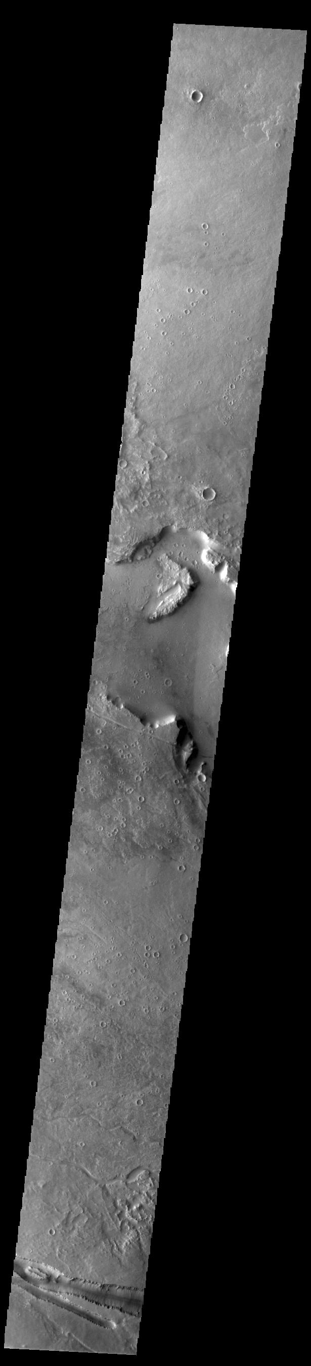 Today's VIS image contains a section of one of the many channel forms found radial to the Elysium Mons volcanic complex. In this case the fossae are located to the west of Elysium Mons. Elysium Fossae are comprised of both linear and sinuous channels, usually interpreted to have both fluid and tectonic forces playing a part in the formation. The linear depression resembles a graben (formed by tectonic forces) and sinuous channels more closely resembles features caused by fluid flow – either lava or water created by melting subsurface ice due to volcanic heating. The Elysium Fossae system is 1044 km (649 miles) in length. Orbit Number: 93802 Latitude: 27.5316 Longitude: 137.172 Instrument: VIS Captured: 2023-02-05 23:55 https://photojournal.jpl.nasa.gov/catalog/PIA25901