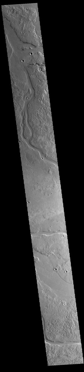 This VIS image shows many of the channel segments of Granicus Valles. Granicus Valles is a complex channel system located west of Elysium Mons. The system is approximately 750km long. It is likely that both water and lava played a part in creation of the feature. Orbit Number: 93896 Latitude: 28.5809 Longitude: 132.256 Instrument: VIS Captured: 2023-02-13 16:59 https://photojournal.jpl.nasa.gov/catalog/PIA25906