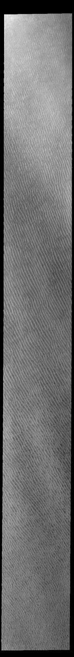 This VIS image of Olympia Undae was collected at the start of north polar spring. The dune crests have not yet lost the winter frosts, which still cover the dark sand beneath. The density of dunes and the alignments of the dune crests varies with location, controlled by the amount of available sand and the predominant winds over time.  Olympia Undae is a vast dune field in the north polar region of Mars. It consists of a broad sand sea or erg that partly rings the north polar cap from about 120° to 240°E longitude and 78° to 83°N latitude. The dune field covers an area of approximately 470,000 km2 (bigger than California, smaller than Texas). Olympia Undae is the largest continuous dune field on Mars. Olympia Undae is not the only dune field near the north polar cap, several other smaller fields exist in the same latitude, but in other ranges of longitude, e.g. Abolos and Siton Undae. Barchan and transverse dune forms are the most common. In regions with limited available sand individual barchan dunes will form, the surface beneath and between the dunes is visible. In regions with large sand supplies, the sand sheet covers the underlying surface, and dune forms are found modifying the surface of the sand sheet. In this case transverse dunes are more common. Barchan dunes "point" down wind, transverse dunes are more linear and form parallel to the wind direction. The "square" shaped transverse dunes in Olympia Undae are due to two prevailing wind directions.  Orbit Number: 93875 Latitude: 81.2131 Longitude: 213.454 Instrument: VIS Captured: 2023-02-11 23:53  https://photojournal.jpl.nasa.gov/catalog/PIA25908