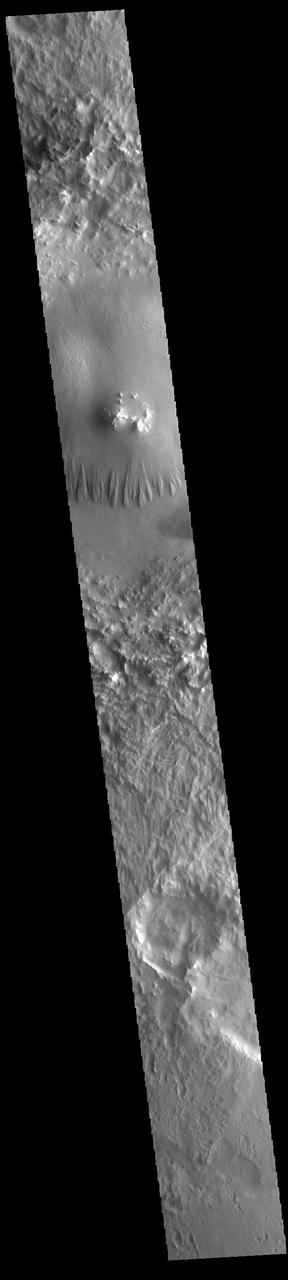 Today's VIS image shows an unnamed crater in Terra Sabaea. The central peak of the crater has been surrounded by a deposit of material that is easily eroded, as shown by the wind eroded features on the south side of the deposit. Several craters in this region have large deposits of materials on the crater floor. These deposits postdate the formation of the craters, and have themselves by eroded over time. It is very likely that wind played a roll in the deposition of materials as well as the subsequent erosion. Orbit Number: 93875 Latitude: 7.99639 Longitude: 20.9896 Instrument: VIS Captured: 2023-02-11 23:23 https://photojournal.jpl.nasa.gov/catalog/PIA25909