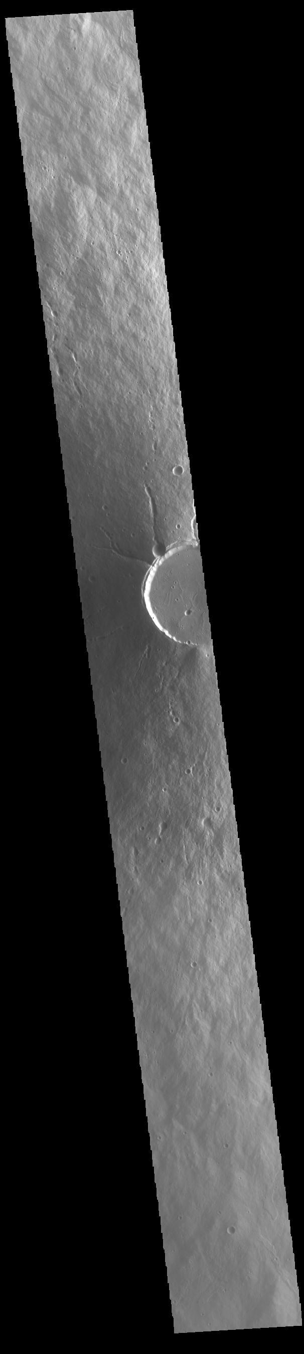 NASA image: Elysium Mons