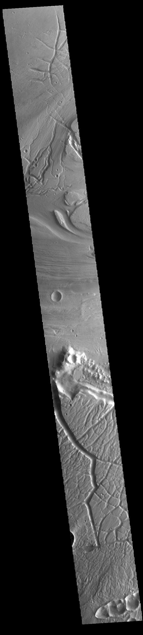 NASA image: Kasei Valles