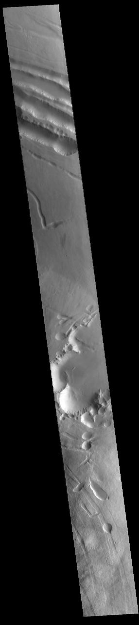 This VIS image shows a portion of the northern flank of Pavonis Mons. The linear features at the top of the image are concentric faults. The linear and sinuous channel-like features at the bottom of the image likely formed by collapse of the roof of lava tubes into the empty space beneath.  Pavonis Mons is the central volcano of the three large Tharsis volcanoes. In order from north to south the volcanoes are Ascreaus Mons, Pavonis Mons and Arsia Mons. All three volcanoes form a line located along a tectonic bulge caused by extensional forces in the region. Along this trend there are increased tectonic features and additional lava flows that arose from the flanks of the volcanoes rather than just the summit. Like the other large volcanoes in the region, Pavonis Mons is a shield volcano. Shield volcanoes are formed by lava flows originating near or at the summit, building up layers upon layers of lava. In shield volcanoes summit calderas are typically formed where the surface collapses into the void formed by an emptied magma chamber. Pavonis Mons is the smallest of the three volcanoes with a summit of only 14km (8.7 miles) and a width of 375 km (233 miles). Like most shield volcanoes the surface has a low profile. In the case of Pavonis Mons the average slope is only 4 degrees. Pavonis means peacock in Latin, making its name peacock mountain.  Orbit Number: 93942 Latitude: 3.03864 Longitude: 248.737 Instrument: VIS Captured: 2023-02-17 11:45  https://photojournal.jpl.nasa.gov/catalog/PIA25931
