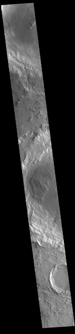 Today's VIS image shows three craters located in northern Arabia Terra. The top two have material deposits on the crater floors that postdate the formation of the impact crater. A large channel dissects the rim of the crater at the top of the image. The central crater is named Focas Crater. Orbit Number: 93975 Latitude: 33.8015 Longitude: 12.4675 Instrument: VIS Captured: 2023-02-20 05:08 https://photojournal.jpl.nasa.gov/catalog/PIA25938