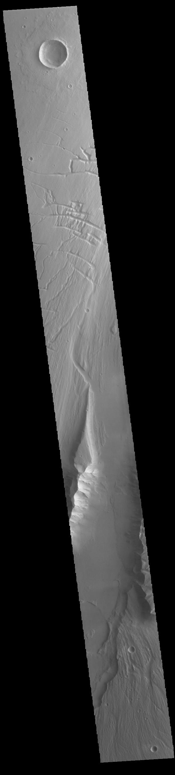 NASA image: Kasei Valles