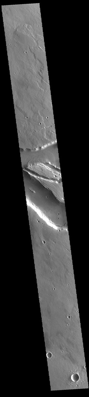 Today's VIS image contains a section of one of the many channel forms found radial to the Elysium Mons volcanic complex. In this case the fossae are located to the west of Elysium Mons. Elysium Fossae are comprised of both linear and sinuous channels, usually interpreted to have both fluid and tectonic forces playing a part in the formation. The linear depression resembles a graben (formed by tectonic forces) and sinuous channels more closely resembles features caused by fluid flow – either lava or water created by melting subsurface ice due to volcanic heating. The Elysium Fossae system is 1044 km (649 miles) in length. Orbit Number: 93983 Latitude: 27.1871 Longitude: 142.629 Instrument: VIS Captured: 2023-02-20 20:54 https://photojournal.jpl.nasa.gov/catalog/PIA25941