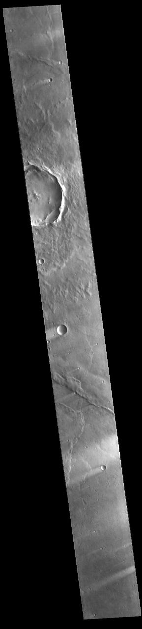 Today's VIS image shows windstreaks located in Syrtis Major Planum. These streaks are formed by the wind interaction with positive topographic features (like craters), with the 'tail' located down wind of the crater. The streaks in this image indicate the prevailing wind was from the upper right to the lower left side of the image (northeast to southwest). Orbit Number: 94023 Latitude: 6.9785 Longitude: 71.5019 Instrument: VIS Captured: 2023-02-24 03:50 https://photojournal.jpl.nasa.gov/catalog/PIA25942