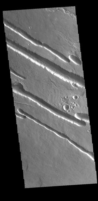 NASA image:  Elysium Fossae