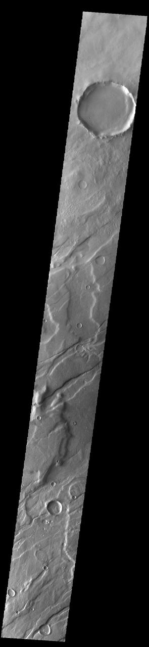 The linear features in this VIS image are called Mareotis Fossae. They are part of a huge region of graben that comprise Tempe Terra. The graben of Mareotis Fossae trend to the northeast, parallel to the fossae of Alba Mons located just to the west of Tempe Terra. Graben are formed by extension of the crust and faulting. When large amounts of pressure or tension are applied to rocks on timescales that are fast enough that the rock cannot respond by deforming, the rock breaks along faults. In the case of a graben, two parallel faults are formed by extension of the crust and the rock in between the faults drops downward into the space created by the extension. Numerous sets of graben are visible in this THEMIS image, trending from northeast to southwest. Because the faults defining the graben are formed perpendicular to the direction of the applied stress, we know that extensional forces were pulling the crust apart in the northwest/southeast direction. Mareotis Fossae is 1907km long (1185 miles). Orbit Number: 94059 Latitude: 46.0809 Longitude: 286.137 Instrument: VIS Captured: 2023-02-27 03:41 https://photojournal.jpl.nasa.gov/catalog/PIA25977