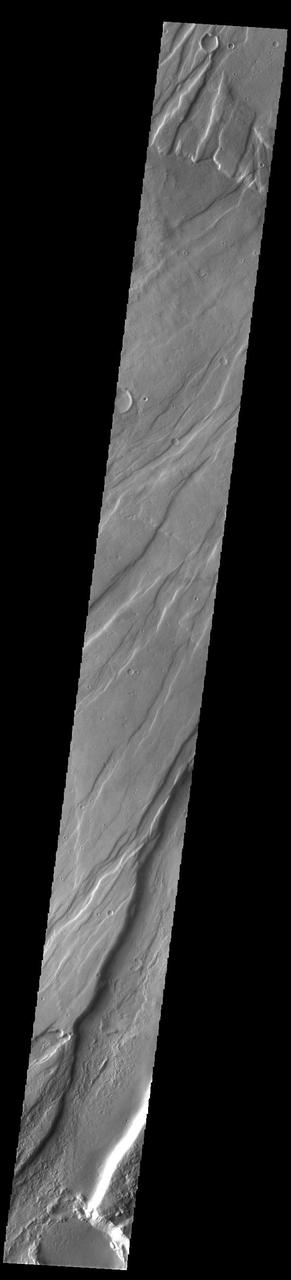 Today's VIS image is shows a small portion of Tempe Fossae. The linear features are tectonic graben. Graben are formed by extension of the crust and faulting. When large amounts of pressure or tension are applied to rocks on timescales that are fast enough that the rock cannot respond by deforming, the rock breaks along faults. In the case of a graben, two parallel faults are formed by extension of the crust and the rock in between the faults drops downward into the space created by the extension. Numerous sets of graben are visible in this THEMIS image, trending from north-northeast to south-southwest. Because the faults defining the graben are formed perpendicular to the direction of the applied stress, we know that extensional forces were pulling the crust apart in the west-northwest/east-southeast direction. The complete fossae system is almost 2000 km (1242 miles) long. Orbit Number: 94159 Latitude: 38.314 Longitude: 279.856 Instrument: VIS Captured: 2023-03-07 09:20 https://photojournal.jpl.nasa.gov/catalog/PIA25979