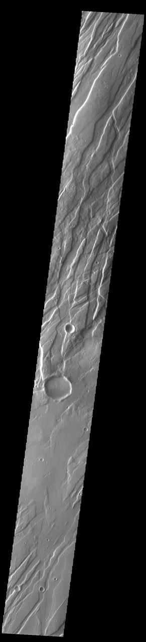 Today's VIS image is shows a small portion of Tempe Fossae. The linear features are tectonic graben. Graben are formed by extension of the crust and faulting. When large amounts of pressure or tension are applied to rocks on timescales that are fast enough that the rock cannot respond by deforming, the rock breaks along faults. In the case of a graben, two parallel faults are formed by extension of the crust and the rock in between the faults drops downward into the space created by the extension. Numerous sets of graben are visible in this THEMIS image, trending from north-northeast to south-southwest. Because the faults defining the graben are formed perpendicular to the direction of the applied stress, we know that extensional forces were pulling the crust apart in the west-northwest/east-southeast direction. The complete fossae system in almost 2000 km (1242 miles) long.  Orbit Number: 94209 Latitude: 35.5447 Longitude: 276.941 Instrument: VIS Captured: 2023-03-11 12:09  https://photojournal.jpl.nasa.gov/catalog/PIA25980