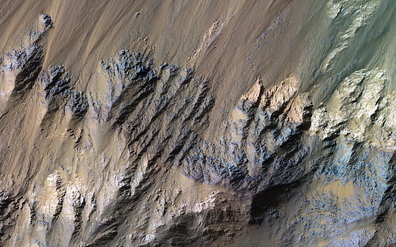 This image shows the southern wall of Coprates Chasma, in the equatorial canyon system of Valles Marineris. While much of the lower slopes are covered by sand, exposed bedrock is clearly visible in the upper canyon walls.  In an enhanced color image, the varying colors – shades of white, cyan, and purple – are suggestive of multiple minerals being present within the bedrock, indicating a complicated geologic history, possibly involving alteration by water. (In this cutout, north is down.)  https://photojournal.jpl.nasa.gov/catalog/PIA25985