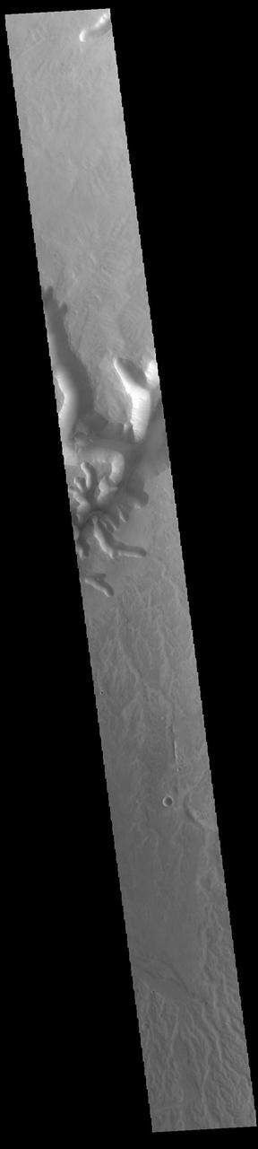 Today's VIS image shows a portion of a large unnamed channel located east of Echus Chasma.  Orbit Number: 94228 Latitude: 0.601706 Longitude: 278.28 Instrument: VIS Captured: 2023-03-13 00:54  https://photojournal.jpl.nasa.gov/catalog/PIA25996