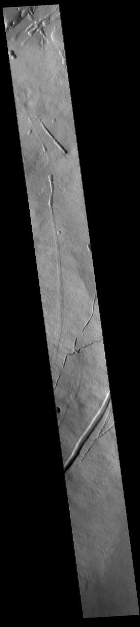 This VIS image shows part of the eastern flank of Pavonis Mons. Pavonis Mons is the central volcano of the three large Tharsis volcanoes. All three volcanoes form a line located along a tectonic bulge caused by extensional forces in the region. Pavonis Mons is the smallest of the three with a summit of only 14km (46,000 ft). Pavonis means peacock in Latin, making the name peacock mountain.  Orbit Number: 94229 Latitude: 1.10568 Longitude: 249.38 Instrument: VIS Captured: 2023-03-13 02:53  https://photojournal.jpl.nasa.gov/catalog/PIA25997