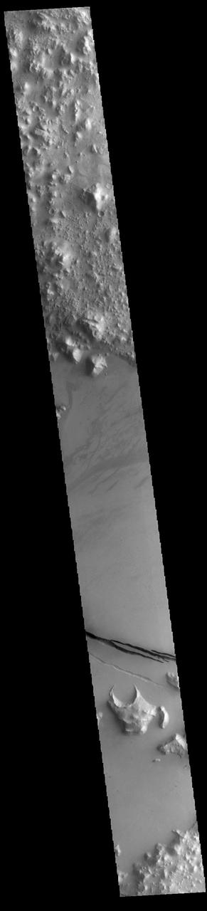 Today's VIS image shows a section of Cerberus Fossae. Cerberus Fossae are located in Elysium Planitia, southeast of the Elysium Mons volcanic complex. The linear features in the image are tectonic graben. Graben are formed by extension of the crust and faulting. When large amounts of pressure or tension are applied to rocks on timescales that are fast enough that the rock cannot respond by deforming, the rock breaks along faults. In the case of a graben, two parallel faults are formed by extension of the crust and the rock in between the faults drops downward into the space created by the extension. Several sets of graben are visible in this THEMIS image, trending from west-northwest to east-southeast. Because the faults defining the graben are formed perpendicular to the direction of the applied stress, we know that extensional forces were pulling the crust apart in the north-northeast/south-southwest direction. The Cerberus Fossae graben are sources of both channels and significant volcanic flows. Cerberus Fossae cuts across features such as hills, indicating the relative youth of the tectonic activity. The Cerberus Fossae system is 1235km (767 miles) long.  Orbit Number: 94232 Latitude: 10.1207 Longitude: 161.626 Instrument: VIS Captured: 2023-03-13 08:52  https://photojournal.jpl.nasa.gov/catalog/PIA25999