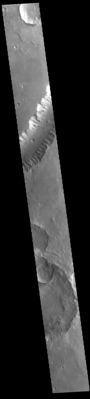 Today's VIS image shows a small section of Shalbatana Vallis. Located in Xanthe Terra, Shalbatana Vallis is an outflow channel carved by massive floods of escaping groundwater whose source lies far to the south of this image. This channel, and all others in this region, drain into Chryse Planitia. Shalbatana Vallis is 1029km long (639 miles). Orbit Number: 94314 Latitude: 5.05202 Longitude: 316.721 Instrument: VIS Captured: 2023-03-20 02:52 https://photojournal.jpl.nasa.gov/catalog/PIA26002