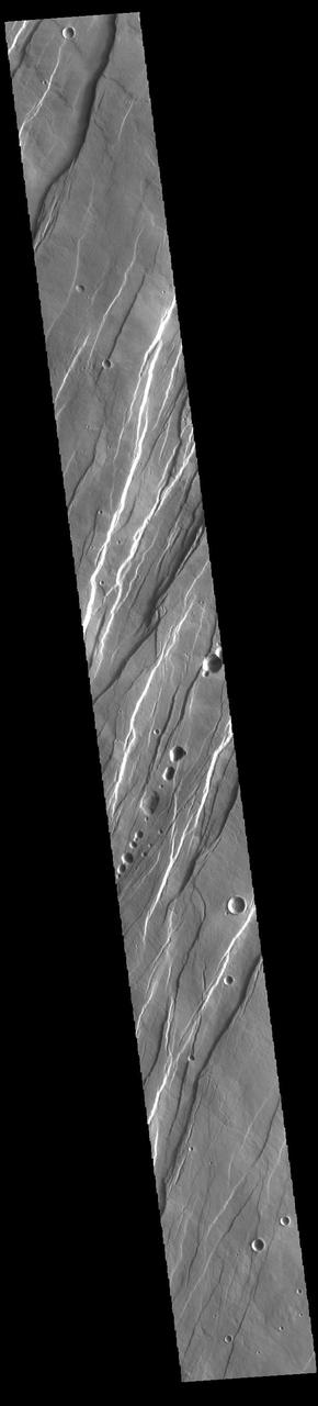 Today's VIS image shows a portion of Tantalus Fossae. The linear features are tectonic graben. Graben are formed by extension of the crust and faulting. When large amounts of pressure or tension are applied to rocks on timescales that are fast enough that the rock cannot respond by deforming, the rock breaks along faults. In the case of a graben, two parallel faults are formed by extension of the crust and the rock in between the faults drops downward into the space created by the extension. Numerous sets of graben are visible in this THEMIS image, trending from north-northeast to south-southwest. Because the faults defining the graben are formed perpendicular to the direction of the applied stress, we know that extensional forces were pulling the crust apart in the west-northwest/east-southeast direction. The large number of graben around Alba Mons is generally believed to be the result of extensional forces associated with the uplift of the volcano. Tantalus Fossae is 2361 km (1467 miles) long. Orbit Number: 94316 Latitude: 35.6149 Longitude: 254.633 Instrument: VIS Captured: 2023-03-20 07:00 https://photojournal.jpl.nasa.gov/catalog/PIA26003