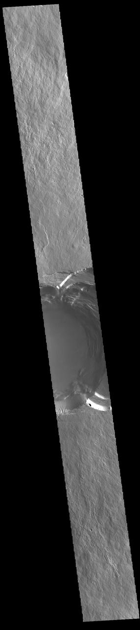 This VIS image shows part of the summit of Ascraeus Mons. Ascraeus Mons is the northernmost and tallest of the three large aligned Tharsis volcanoes. Calderas are found at the tops of volcanoes and are the source region for magma that rises from an underground lava source to erupt at the surface. Volcanoes are formed by repeated flows from the central caldera. The final eruptions can pool within the summit caldera, leaving a flat surface as they cool. Calderas are also a location of collapse, creating rings of tectonic faults that form the caldera rim. Ascraeus Mons has several caldera features at its summit. Ascraeus Mons is 18 km (11 miles) tall, for comparison Mauna Kea – the tallest volcano on Earth – is 10 km tall (6.2 miles, measured from the base below sea level).  Orbit Number: 94366 Latitude: 11.3736 Longitude: 255.73 Instrument: VIS Captured: 2023-03-24 09:40  https://photojournal.jpl.nasa.gov/catalog/PIA26021