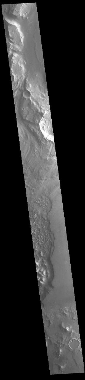 Today's VIS image shows part of the complex region of channels and craters between Lunae Planum and Xanthe Terra. This image is located just east of Maja Valles, the major outflow channel in this region. The large crater at the top of the image, with channels entering and exiting, is named Chia Crater. Orbit Number: 94377 Latitude: 0.364977 Longitude: 299.866 Instrument: VIS Captured: 2023-03-25 07:20 https://photojournal.jpl.nasa.gov/catalog/PIA26022