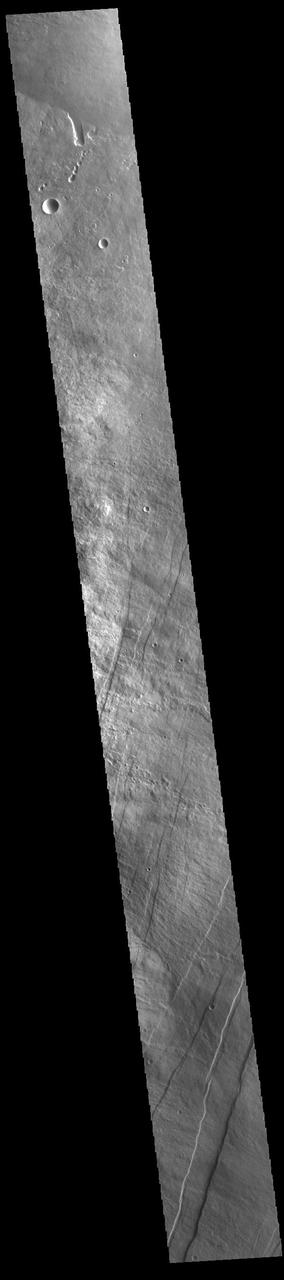 The linear features in the bottom half of this VIS image are called Oti Fossae. Oti Fossae is located on the eastern flank of Arsia Mons and aligns with the regional northeast/southwest trend of the major Tharsis volcanoes. Fossae are typically tectonic features termed graben. Graben are formed by extension of the crust and faulting. When large amounts of pressure or tension are applied to rocks on timescales that are fast enough that the rock cannot respond by deforming, the rock breaks along faults. In the case of a graben, two parallel faults are formed by extension of the crust and the rock in between the faults drops downward into the space created by the extension. The crustal deformation in this region was from the inflation of the surface by the rise of magma that created the Tharsis volcanoes.  Arsia Mons is the southernmost and youngest of the three large, aligned Tharsis volcanoes [Arsia Mons, Pavonis Mons and Ascreaus Mons, from south to north]. This alignment may indicate a large fracture/vent system was responsible for the eruptions that formed all three volcanoes. Arsia Mons is 270 miles (450km) in diameter, almost 12 miles (20km) high, and the summit caldera is 72 miles (120km) wide. For comparison, the largest volcano on Earth is Mauna Loa. From its base on the sea floor, Mauna Loa measures only 6.3 miles high and 75 miles in diameter.  Orbit Number: 94404 Latitude: -8.85515 Longitude: 242.188 Instrument: VIS Captured: 2023-03-27 12:39  https://photojournal.jpl.nasa.gov/catalog/PIA26025
