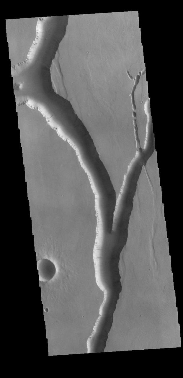 Olympica Fossae is a complex channel located on the volcanic plains between Alba Mons and Olympus Mons. The sinuosity of the large channel in the middle of the image indicates that this is a channel created by liquid flow. In this case the location and other surface features point to lava rather than water as the liquid. Subtle dark slope streaks are visible both in the channel walls and in the small crater at the bottom of the image. These features are thought to form by downslope movement of material which either reveals the darker rock beneath the dust coating, or creates the darker surface by flow of a volatile just beneath the dust coating. Orbit Number: 94466 Latitude: 25.8495 Longitude: 248.788 Instrument: VIS Captured: 2023-04-01 15:22 https://photojournal.jpl.nasa.gov/catalog/PIA26030