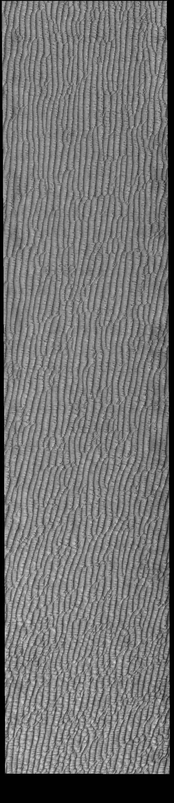 NASA image: Olympia Undae