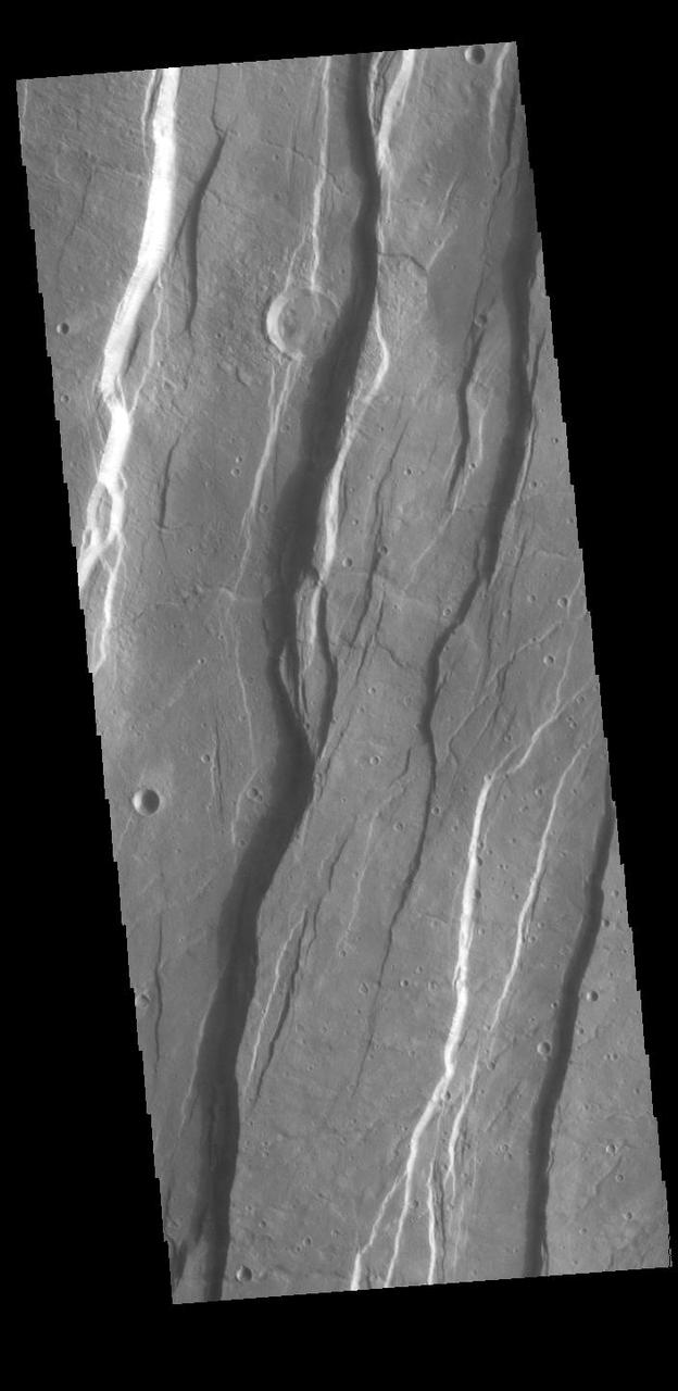 Today's VIS image shows a portion of Tantalus Fossae. The linear features are tectonic graben. Graben are formed by extension of the crust and faulting. When large amounts of pressure or tension are applied to rocks on timescales that are fast enough that the rock cannot respond by deforming, the rock breaks along faults. In the case of a graben, two parallel faults are formed by extension of the crust and the rock in between the faults drops downward into the space created by the extension. Numerous sets of graben are visible in this THEMIS image, trending from north-northeast to south-southwest. Because the faults defining the graben are formed perpendicular to the direction of the applied stress, we know that extensional forces were pulling the crust apart in the west-northwest/east-southeast direction. The large number of graben around Alba Mons is generally believed to be the result of extensional forces associated with the uplift of the volcano. Tantalus Fossae is 2361 km (1467 miles) long. Orbit Number: 94553 Latitude: 41.4418 Longitude: 256.44 Instrument: VIS Captured: 2023-04-08 19:22 https://photojournal.jpl.nasa.gov/catalog/PIA26035