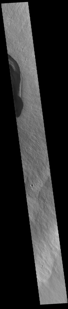 This VIS image shows part of the summit of Ascraeus Mons. Ascraeus Mons is the northernmost and tallest of the three large aligned Tharsis volcanoes. Calderas are found at the tops of volcanoes and are the source region for magma that rises from an underground lava source to erupt at the surface. Volcanoes are formed by repeated flows from the central caldera. The final eruptions can pool within the summit caldera, leaving a flat surface as they cool. Calderas are also a location of collapse, creating rings of tectonic faults that form the caldera rim. Ascraeus Mons has several caldera features at its summit. Ascraeus Mons is 18 km (11 miles) tall, for comparison Mauna Kea – the tallest volcano on Earth – is 10 km tall (6.2 miles, measured from the base below sea level).  Orbit Number: 94653 Latitude: 10.5186 Longitude: 256.223 Instrument: VIS Captured: 2023-04-17 00:48  https://photojournal.jpl.nasa.gov/catalog/PIA26053