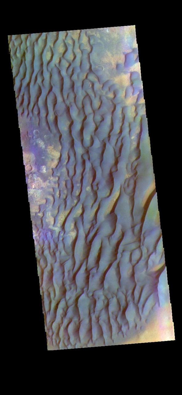 The THEMIS VIS camera contains 5 filters. The data from different filters can be combined in multiple ways to create a false color image. These false color images may reveal subtle variations of the surface not easily identified in a single band image. Today's false color image shows part of the floor of Kaiser Crater. Kaiser Crater is 207 km (129 miles) in diameter and is located in Noachis Terra west of Hellas Planitia. This sand dune field is one of several regions of sand dunes located on the southern part of the crater floor. The image also shows the complex crater floor beneath the dunes. These dunes are composed of basaltic sand that has collected in the bottom of the crater. The topographic depression of the crater forms a sand trap that prevents the sand from escaping. Dune fields are common in the bottoms of craters on Mars and appear as dark splotches that often lean up against the downwind walls of the craters. Dunes are useful for studying both the geology and meteorology of Mars. The sand forms by erosion of larger rocks, but it is unclear when and where this erosion took place on Mars or how such large volumes of sand could be formed. The dunes also indicate the local wind directions by their morphology. In this case, there are few clear slipfaces that would indicate the downwind direction. The crests of the dunes also typically run north-south in the image. This dune form indicates that there are probably two prevailing wind directions that run east and west (left to right and right to left). The THEMIS VIS camera is capable of capturing color images of the Martian surface using five different color filters. In this mode of operation, the spatial resolution and coverage of the image must be reduced to accommodate the additional data volume produced from using multiple filters. To make a color image, three of the five filter images (each in grayscale) are selected. Each is contrast enhanced and then converted to a red, green, or blue intensity image. These three images are then combined to produce a full color, single image. Because the THEMIS color filters don't span the full range of colors seen by the human eye, a color THEMIS image does not represent true color. Also, because each single-filter image is contrast enhanced before inclusion in the three-color image, the apparent color variation of the scene is exaggerated. Nevertheless, the color variation that does appear is representative of some change in color, however subtle, in the actual scene. Note that the long edges of THEMIS color images typically contain color artifacts that do not represent surface variation. Orbit Number: 91442 Latitude: -46.9777 Longitude: 19.5189 Instrument: VIS Captured: 2022-07-26 15:07 https://photojournal.jpl.nasa.gov/catalog/PIA26060