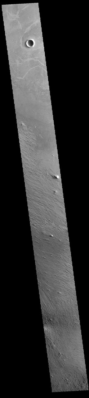 Today's VIS image shows part of Zephyria Planum. Zephyria Planum is located south of Elysium Planitia. Long term winds have eroded the surface of Zephyria Planum (bottom half of image). Elysium Planitia covers the top half of the image. The surface contains what looks like plates of material separated by lighter toned regions. This morphology is common in southern Elysium Planitia and it has been suggested that the 'plates' were cooled lava carried along the top of a still molten volcanic flow.  Orbit Number: 94719 Latitude: 3.29115 Longitude: 153.155 Instrument: VIS Captured: 2023-04-22 11:11  https://photojournal.jpl.nasa.gov/catalog/PIA26153